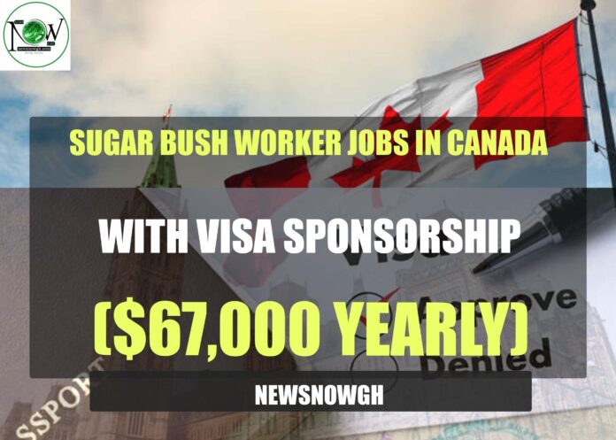 Sugar Bush Worker Jobs In Canada