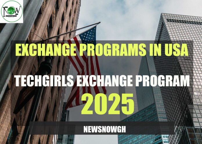 TechGirls Exchange Program