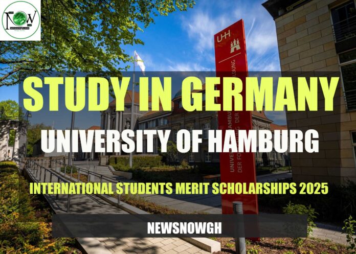 University of Hamburg International Students Merit Scholarships
