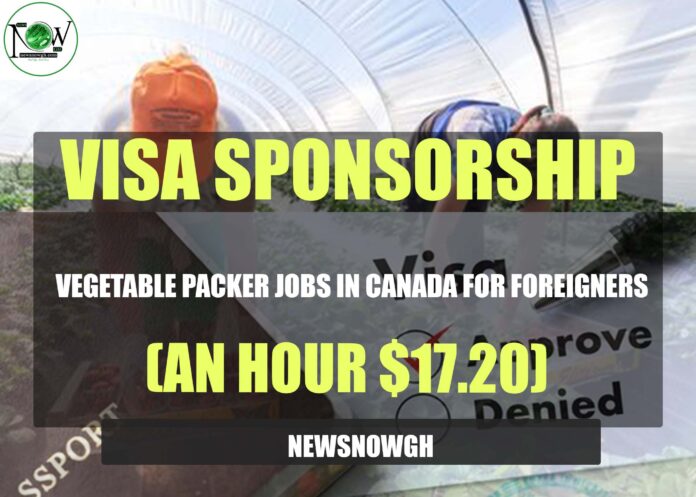 Vegetable Packer Jobs in Canada