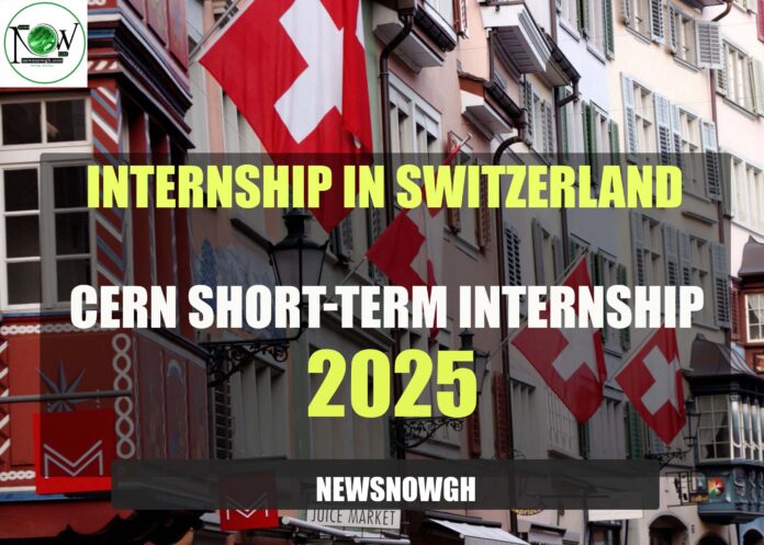 CERN short-term Internship 2025