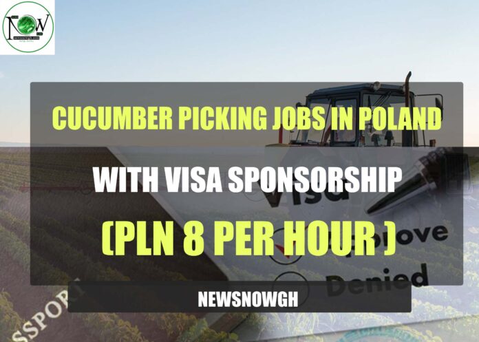 Cucumber Picking Jobs in Poland