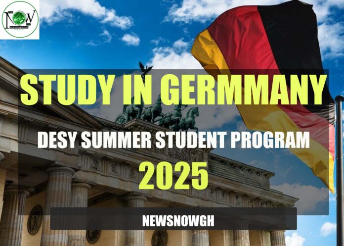 DESY Summer Student Program 2025