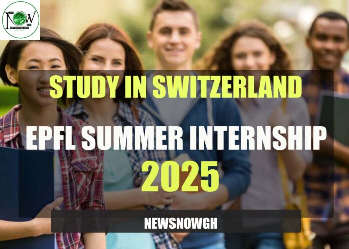 EPFL Summer Internship