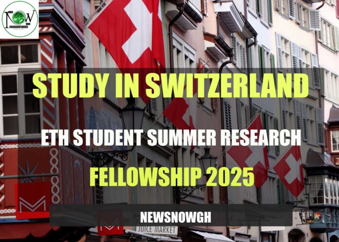 ETH Student Summer Research Fellowship