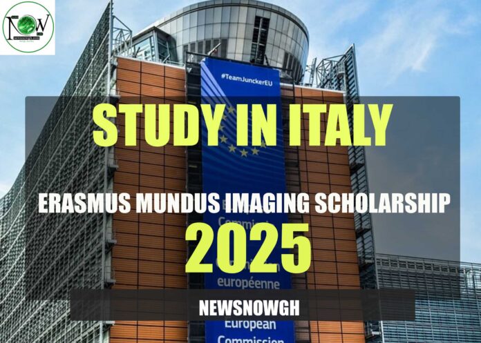 Erasmus Mundus Imaging Scholarship