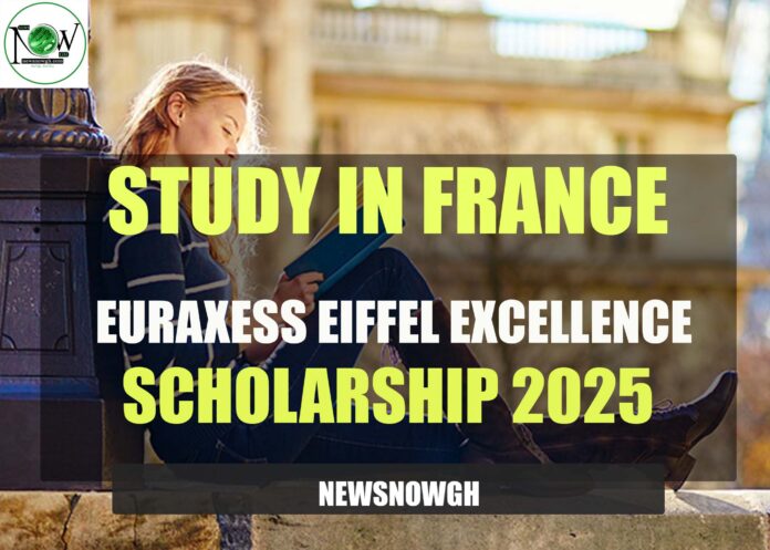Euraxess Eiffel Excellence Scholarship