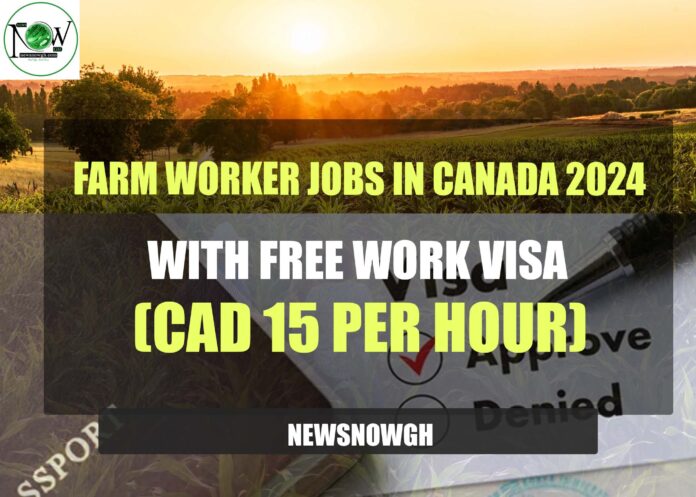 Farm Worker Jobs in Canada 2024 with Free Work Visa