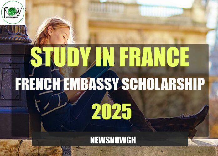 French Embassy Scholarship