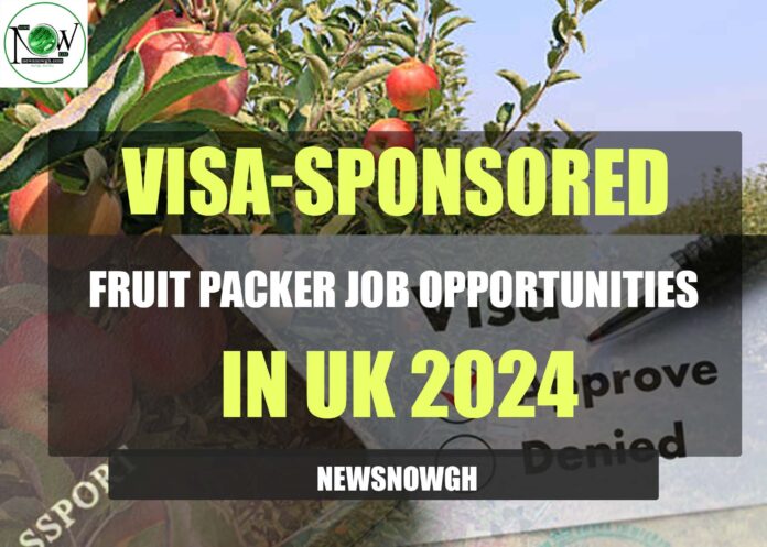 Visa-Sponsored Fruit Packer Job Opportunities in UK 2024