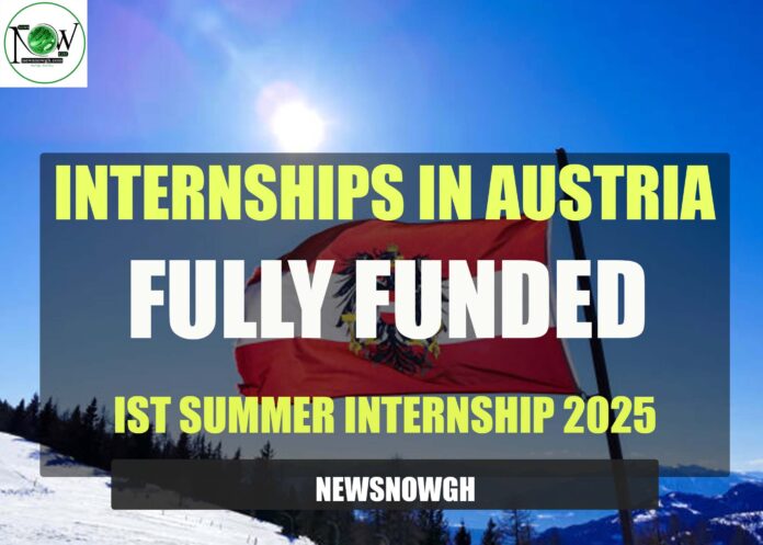IST Summer Internship 2025