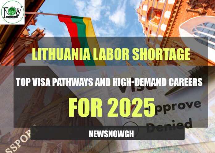 Addressing Lithuania's Labor Shortage: Visa Pathways and High-Demand Careers for 2025