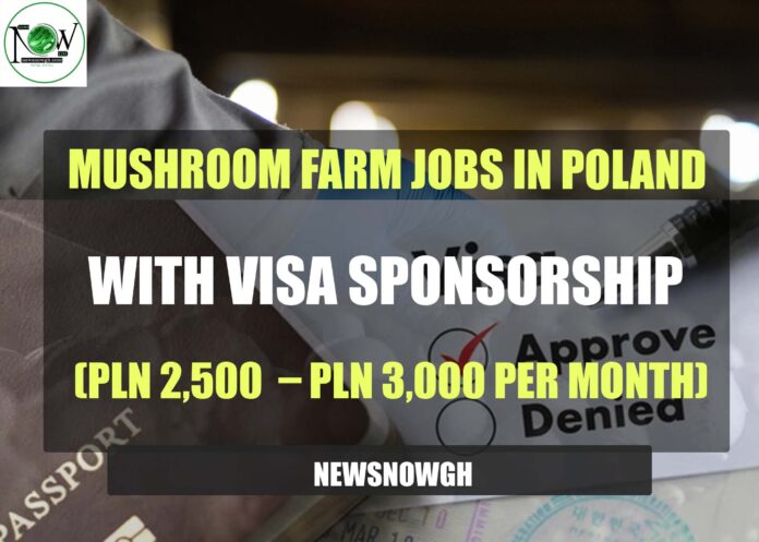 Mushroom Farm Jobs in Poland
