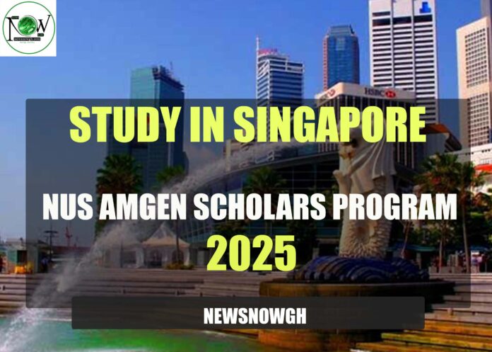 NUS Amgen Scholars Program 2025