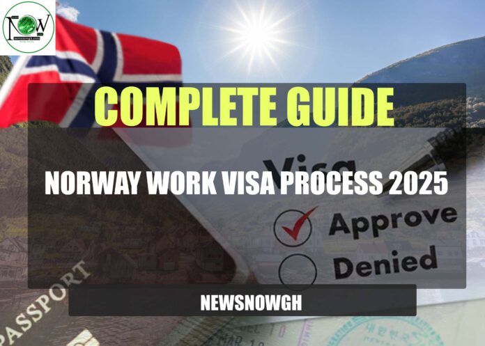 Norway Work Visa Process