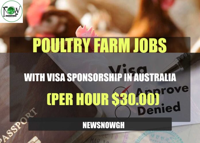 Poultry Farm Jobs with Visa Sponsorship in Australia