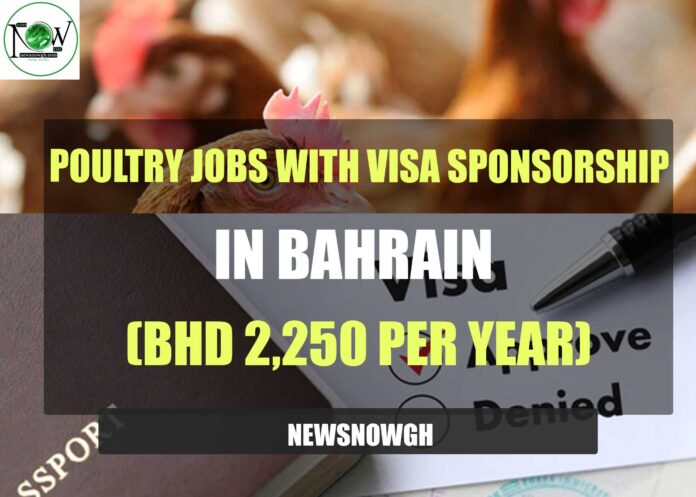 Poultry Jobs with Visa Sponsorship in Bahrain