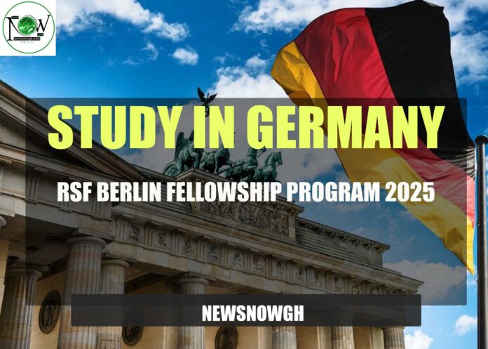 RSF Berlin Fellowship Program
