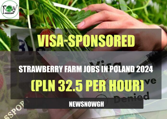 Visa-Sponsored Strawberry Farm Jobs in Poland 2024
