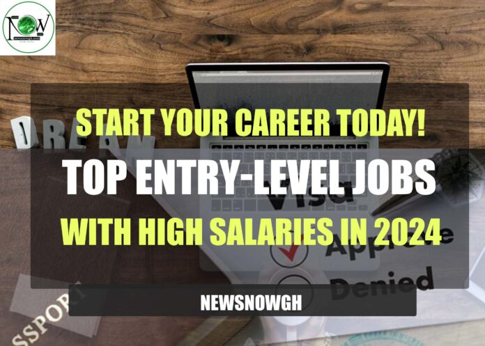 Top Entry-Level Jobs with High Salaries in 2024