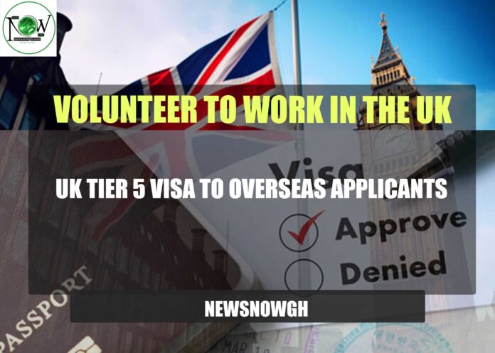 Volunteer to Work in the UK