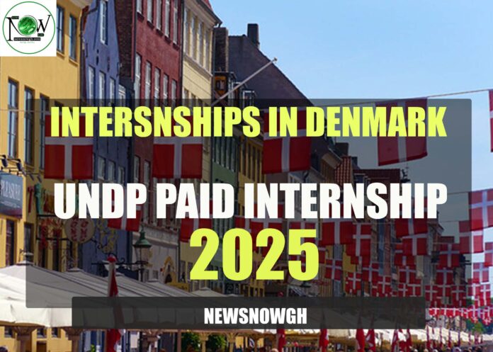 intersnships in denmark