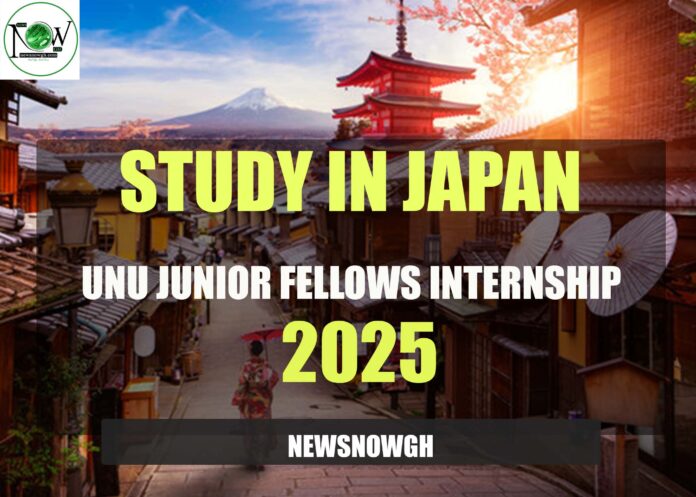 UNU Junior Fellows Internship