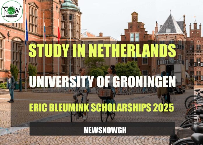 University of Groningen Eric Bleumink Scholarships