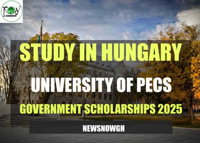 University of Pecs Government Scholarships
