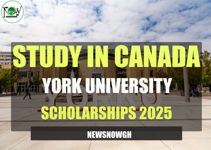 York University Scholarships