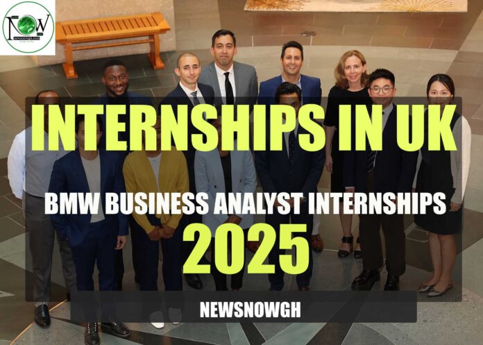 BMW Business Analyst Internships