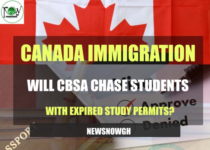 Will CBSA Pursue Students with Expired Study Permits?
