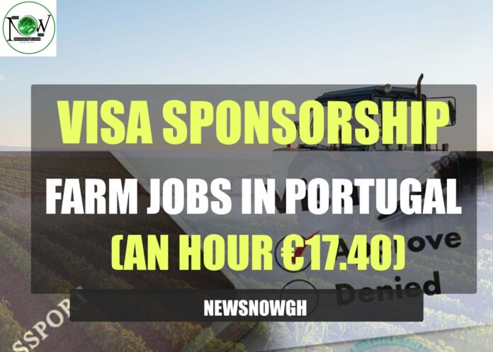 Farm Jobs in Portugal