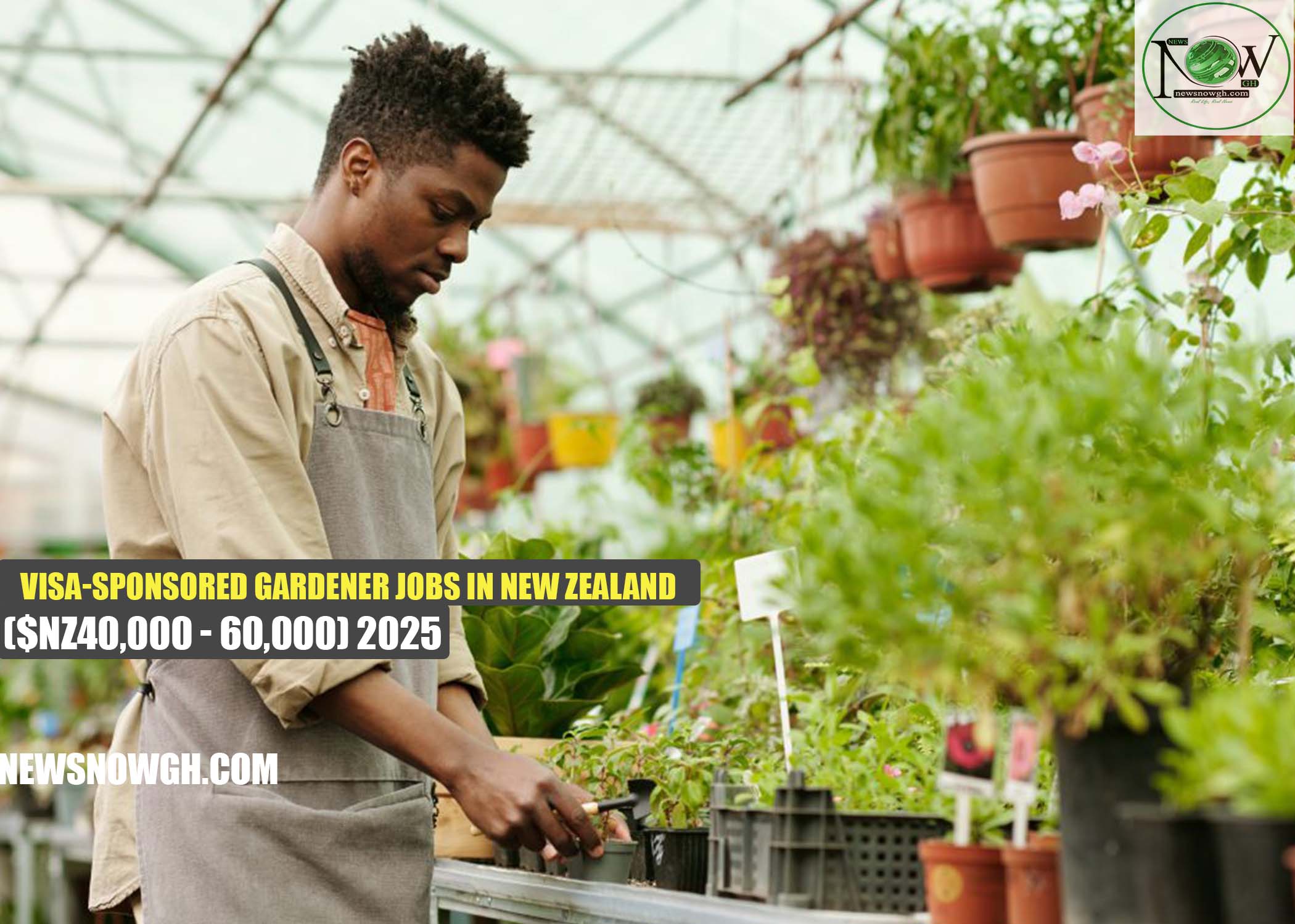 Visa-Sponsored Gardener Jobs in New Zealand Visa-Sponsored Gardener Jobs in New Zealand 2025