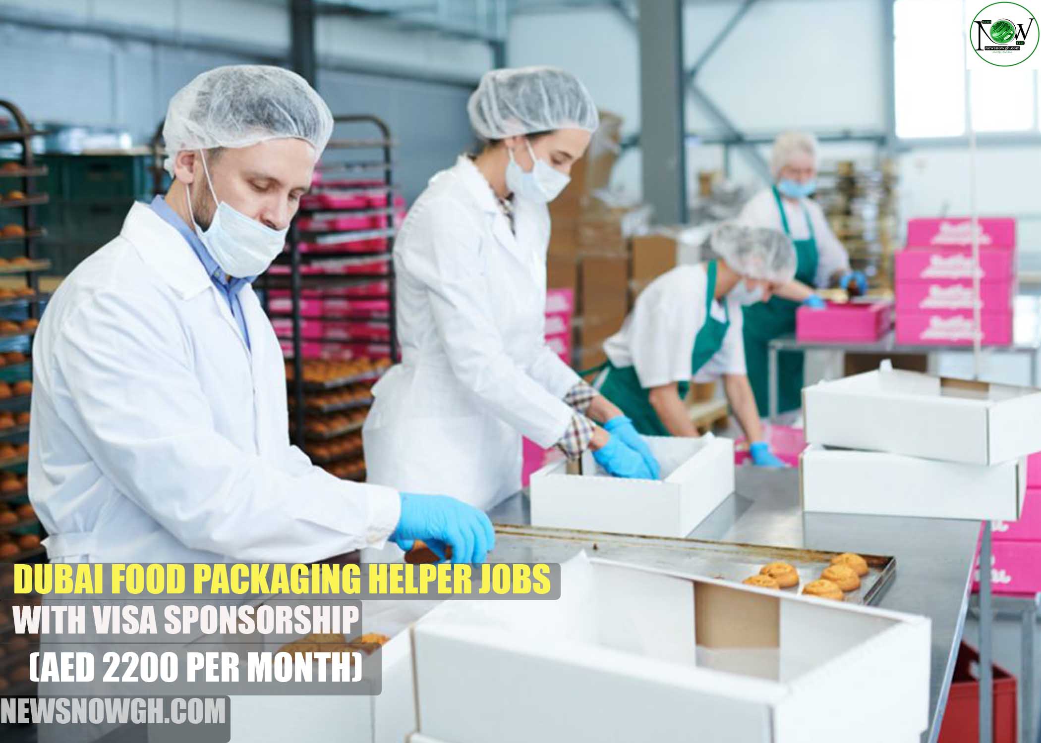 Dubai Food Packaging Helper Jobs Dubai Food Packaging Helper Jobs
