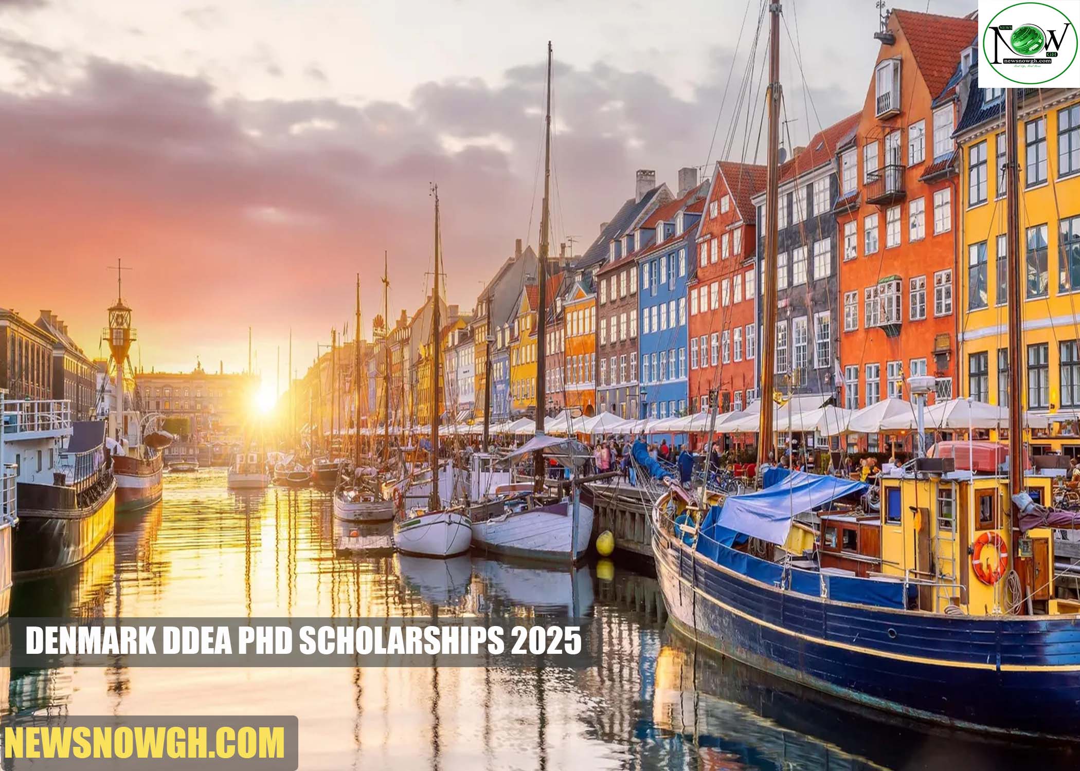 Denmark DDEA PhD Scholarships 2025 Denmark DDEA PhD Scholarships
