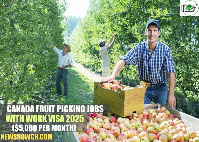 Canada Fruit Picking Jobs with Work Visa 2025