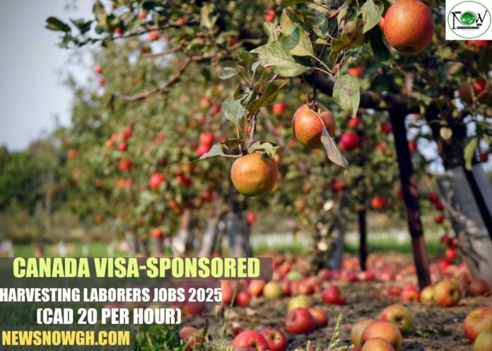 Canada Harvesting Laborers Jobs 2025