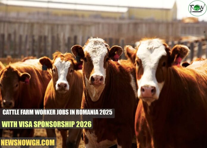 Cattle Farm Worker Jobs in Romania 2025 Cattle Farm Worker Jobs in Romania 2025 with Visa Sponsorship 2025