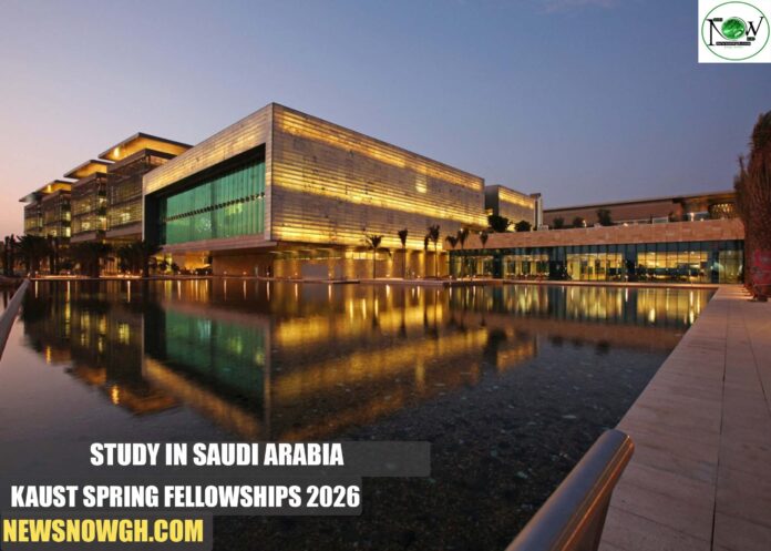 KAUST Spring Fellowships
