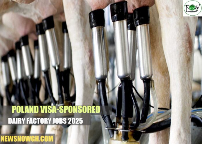 Poland Visa-Sponsored Dairy Factory Jobs 2025