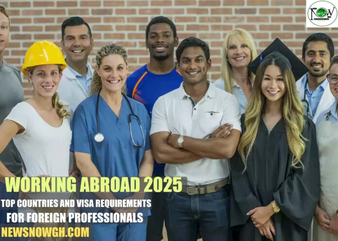 Working Abroad 2025: Top Countries and Visa Requirements for Foreign Professionals