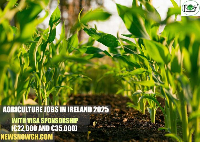 Agriculture Jobs in Ireland 2025 with Visa Sponsorship