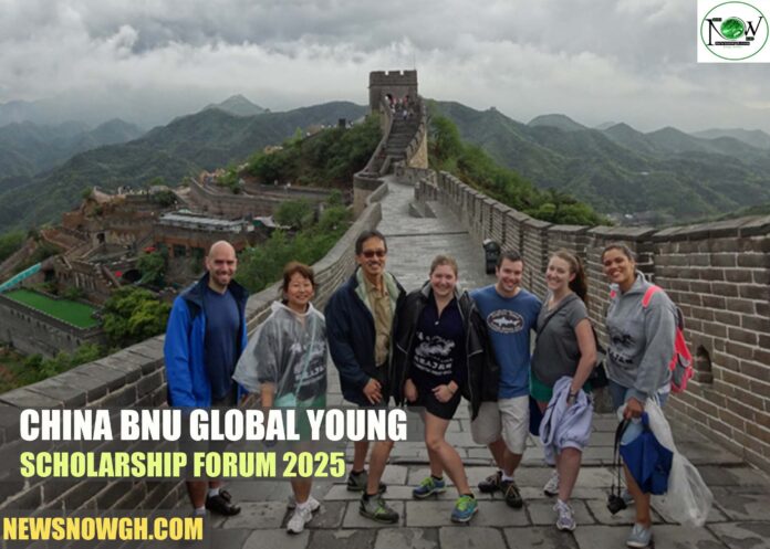 China BNU Global Young Scholarship