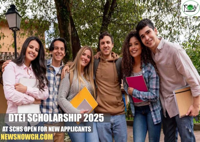 DTEI Scholarship 2025