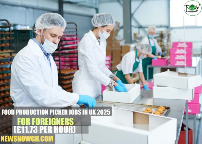 Food Production Picker Jobs in UK 2025 for Foreigners
