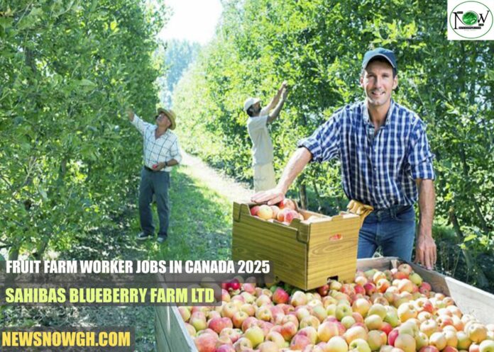 Fruit Farm Worker Jobs in Canada 2025 | Sahibas Blueberry Farm Ltd
