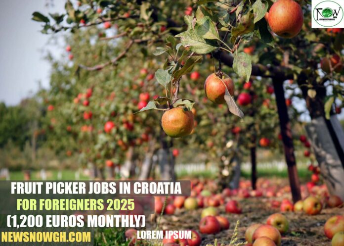 Fruit Picker Jobs in Croatia for Foreigners 2025
