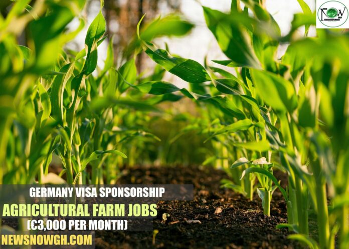 Germany Visa Sponsorship Agricultural Farm Jobs