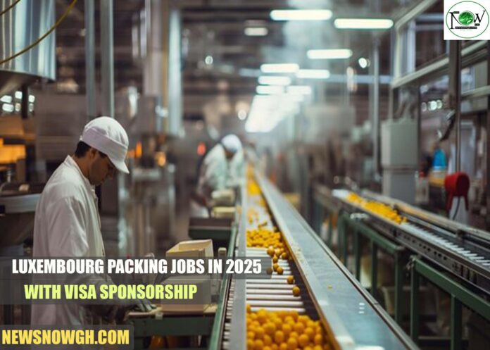 Luxembourg Packing Jobs in 2025